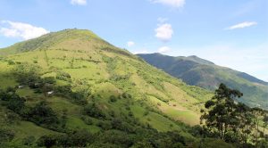 Yamaha Esfuerzos Globales por el Medio Ambiente