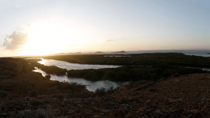 Yamaha esfuerzos globales por el medio ambiente